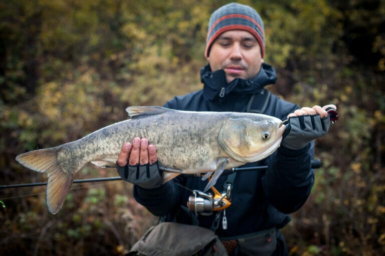 pesca al temolo russo