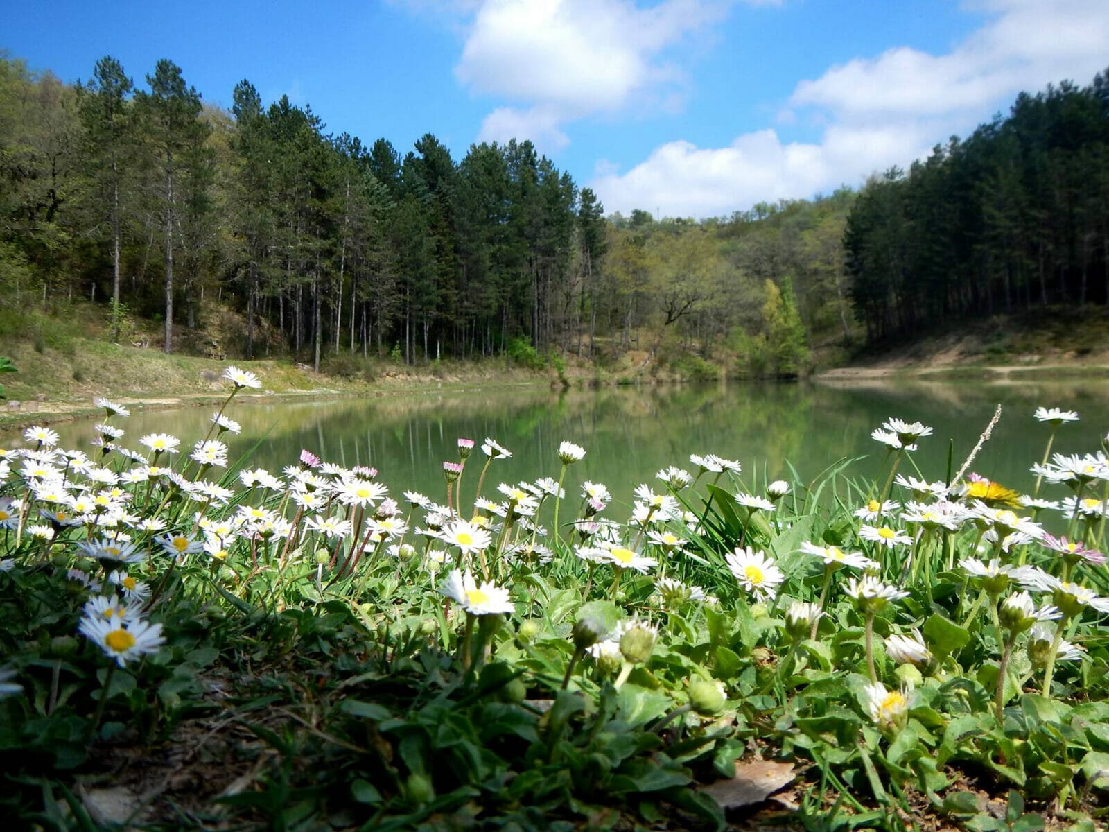 Lago Verde Pesca Mosca e Spinning Pieve Santo Stefano Pesca